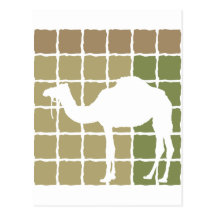 Camel Postcards