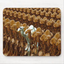 CAMEL PRIDE mousepads