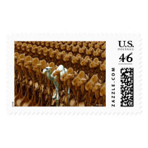 CAMEL PRIDE stamps