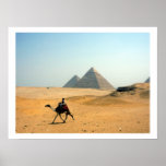camel pyramids border posters