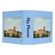 Camel Rock - Santa Fe, New Mexico Oil Painting Binder