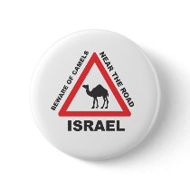 Camel Sign in Israel Pin