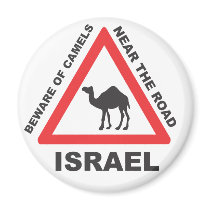 Camel Sign in Israel Magnet