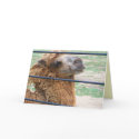camel Smile Greeting card!