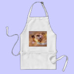 Camel  smock aprons