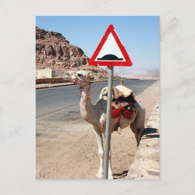 camel_speed_hump_sign_postcard-p239959013171207717trdg_400.jpg