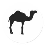 Camel Stickers