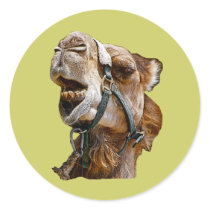 Camel Stickers