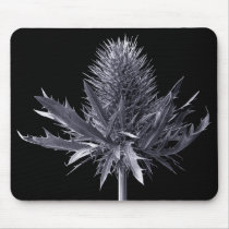 Camel thorn mousepads