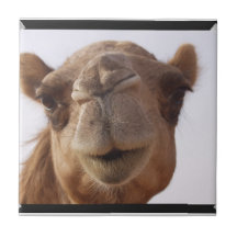 Camel Tile
