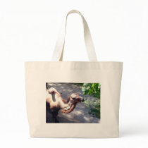Camel Time! bags