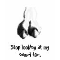 Camel Toe 2 t-shirts