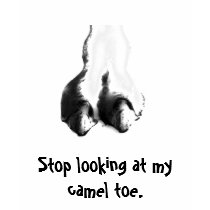 Camel Toe 2 t-shirts