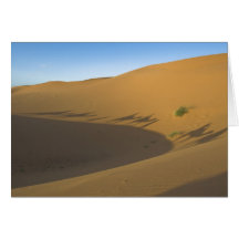 Camel trek greeting cards