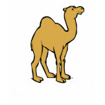 Camel t-shirts