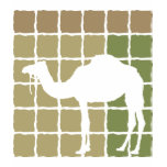 Camel t-shirts