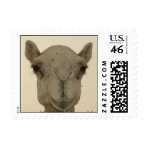 CamelFace Postage
