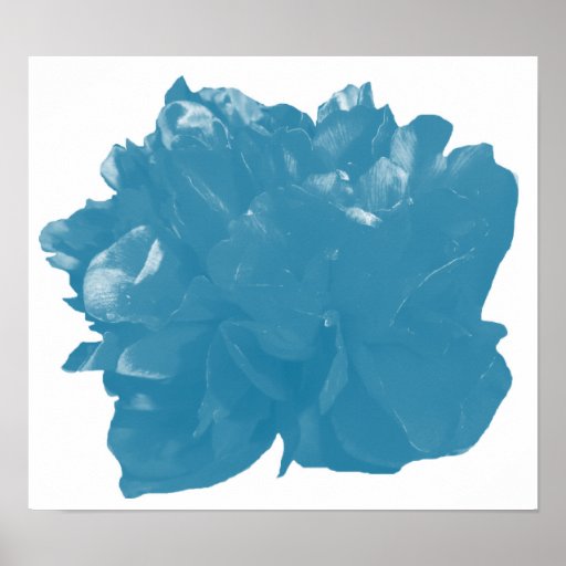 Camelia Pop Teal Print