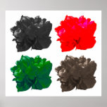 Camelia Pop Warm Poster