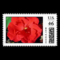Camelia stamps