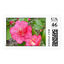camelia stamps