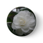 Camelia, white buttons