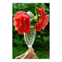 Camelias posters by Bugmaster Camelias posters
