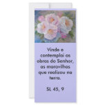 CAMÉLIAS, Vinde e contemplai as obras do Senhor... rack cards