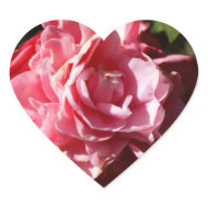 Camellia 3 sticker