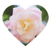 Camellia 4 stickers