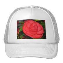 Camellia Bloom Hats