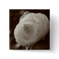 Camellia Button
