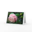 "Camellia" cards by Rmarvil "Camellia" cards