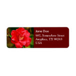 Camellia Custom Return Address Label