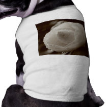 Camellia Dog T-Shirt pet clothing