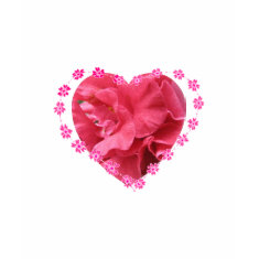 Camellia Double Heart shirt