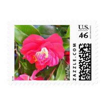 Camellia Flower Heart Stamps