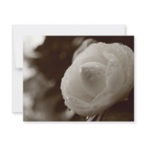 Camellia invitations