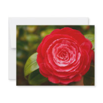 Camellia invitations by gavila_pt Camellia invitations