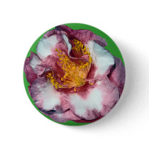Camellia Pink Gift buttons