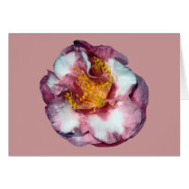 Camellia Pink Gift cards