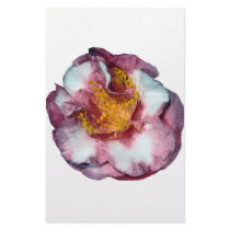 Camellia Pink Gift stationery
