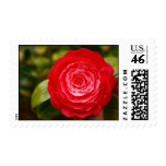 Camellia Stamp