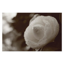 Camellia stationery