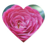 Camellia Stickers