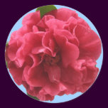 Camellia Sticker stickers