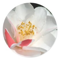 Camellia Stickers by mlane53 Camellia Stickers