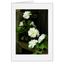 CAMELLIAS CARD