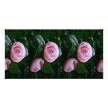 Camellias Custom Photo Card