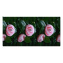Camellias Custom Photo Card